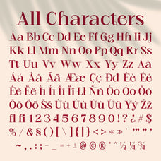 CS Bogart – Aesthetic Font by Craft Supply Co, preview 8