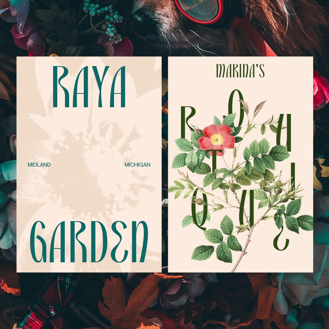 CS Borden – Elegant Font by Craft Supply Co, preview 2