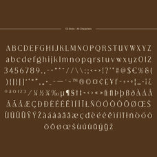 cs-brela-elegant-serif-font-craft-supply-co-8.jpg