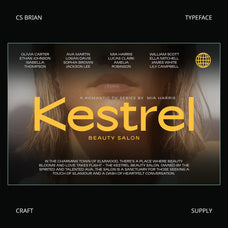 cs-brian-contemporary-font-craft-supply-co-3.jpg
