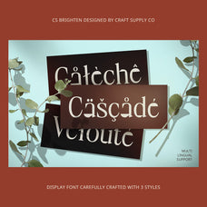 cs-brighten-classic-font-craft-supply-co-7.jpg