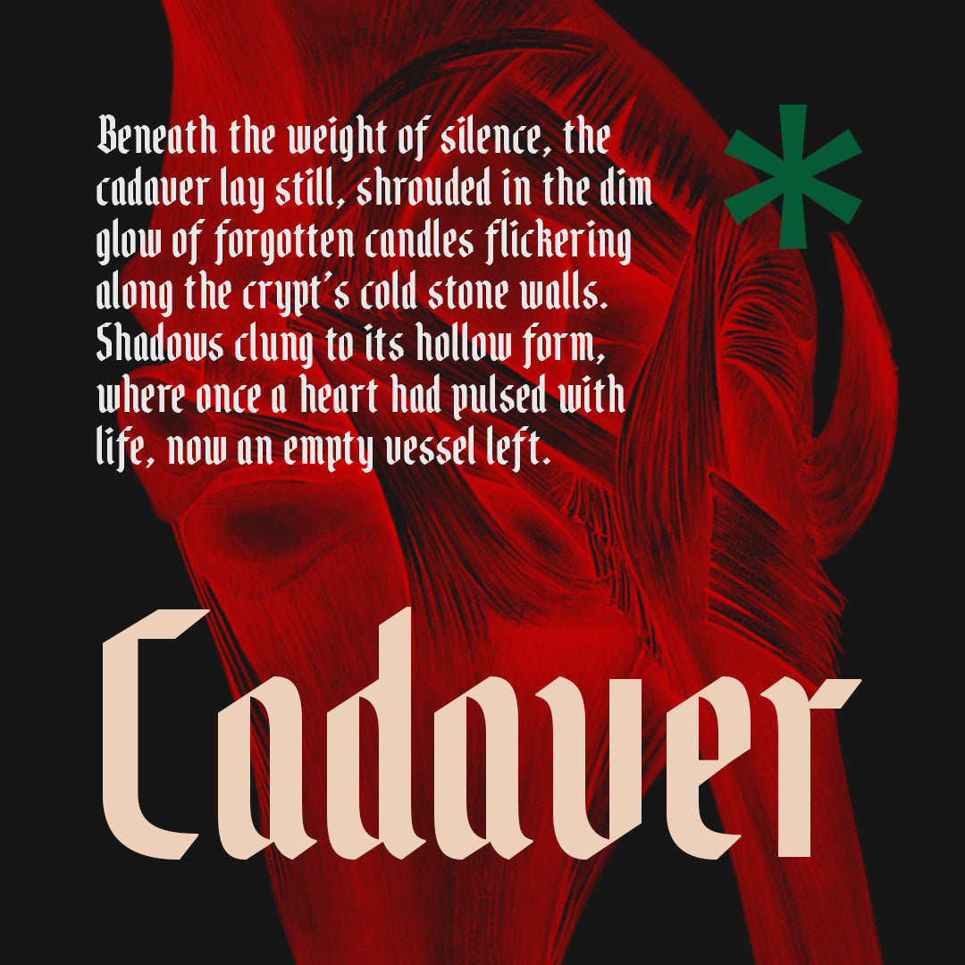cs-brine-blackletter-font-craft-supply-co-2.jpg