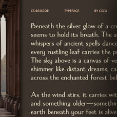 cs-briscoe-elegant-font-craft-supply-co-2.jpg