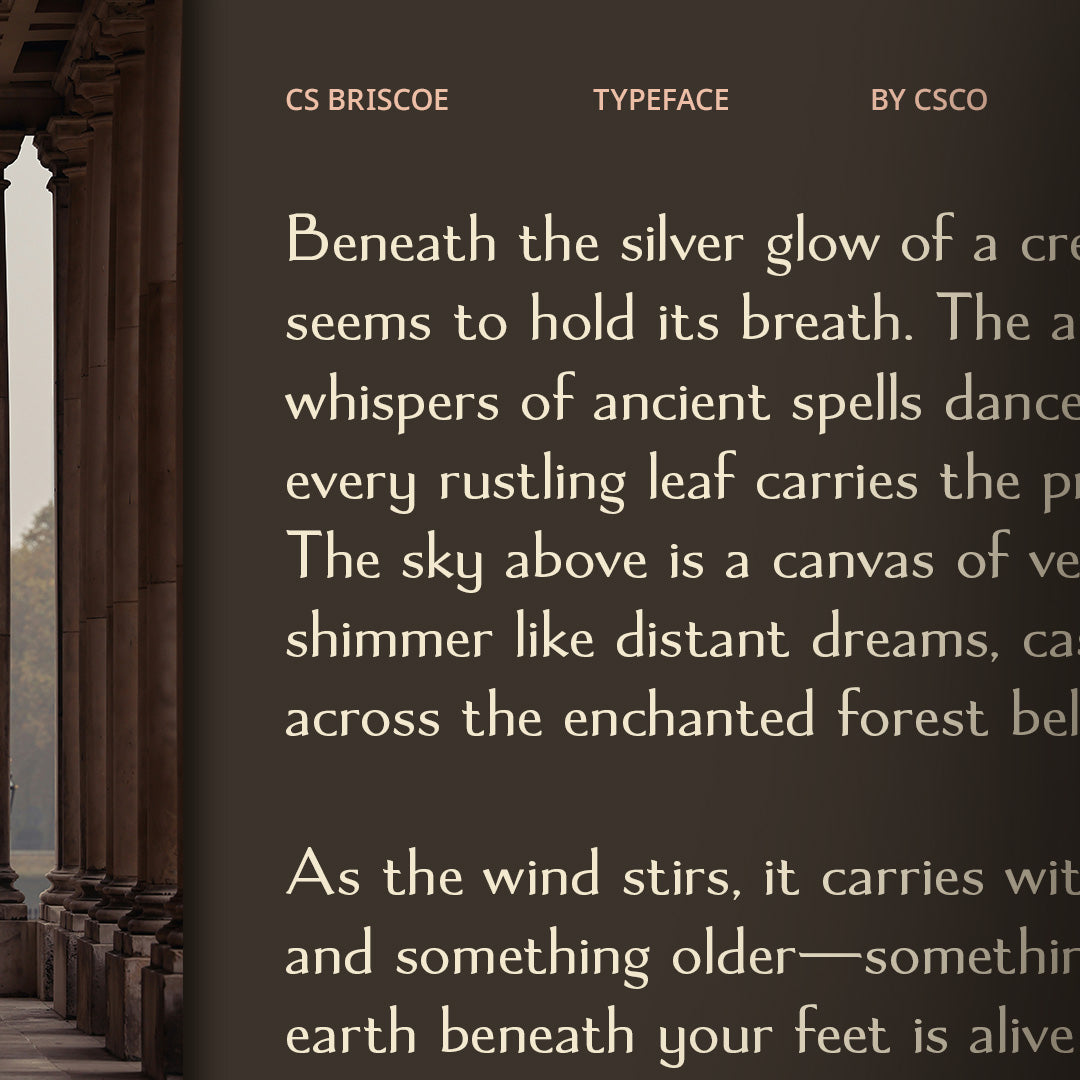 cs-briscoe-elegant-font-craft-supply-co-2.jpg