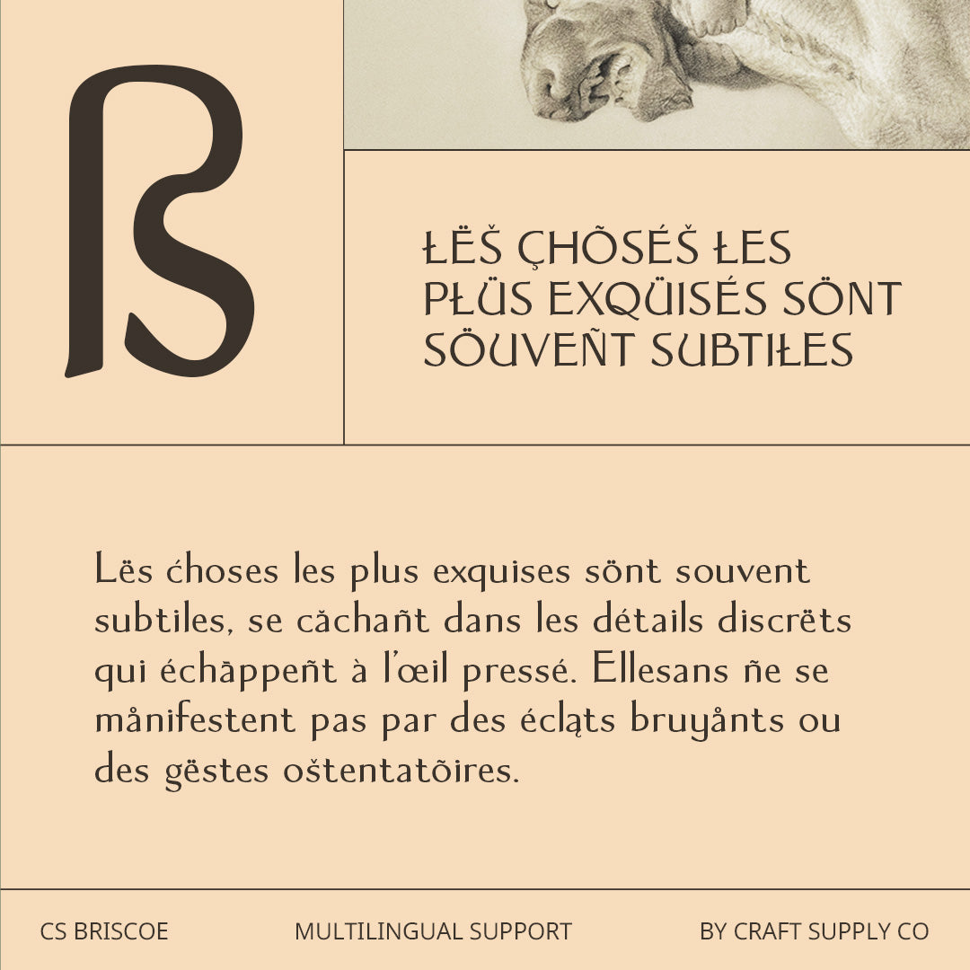 cs-briscoe-elegant-font-craft-supply-co-3.jpg