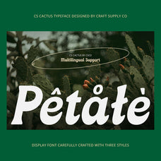 cs-cactus-classic-font-craft-supply-co-7.jpg