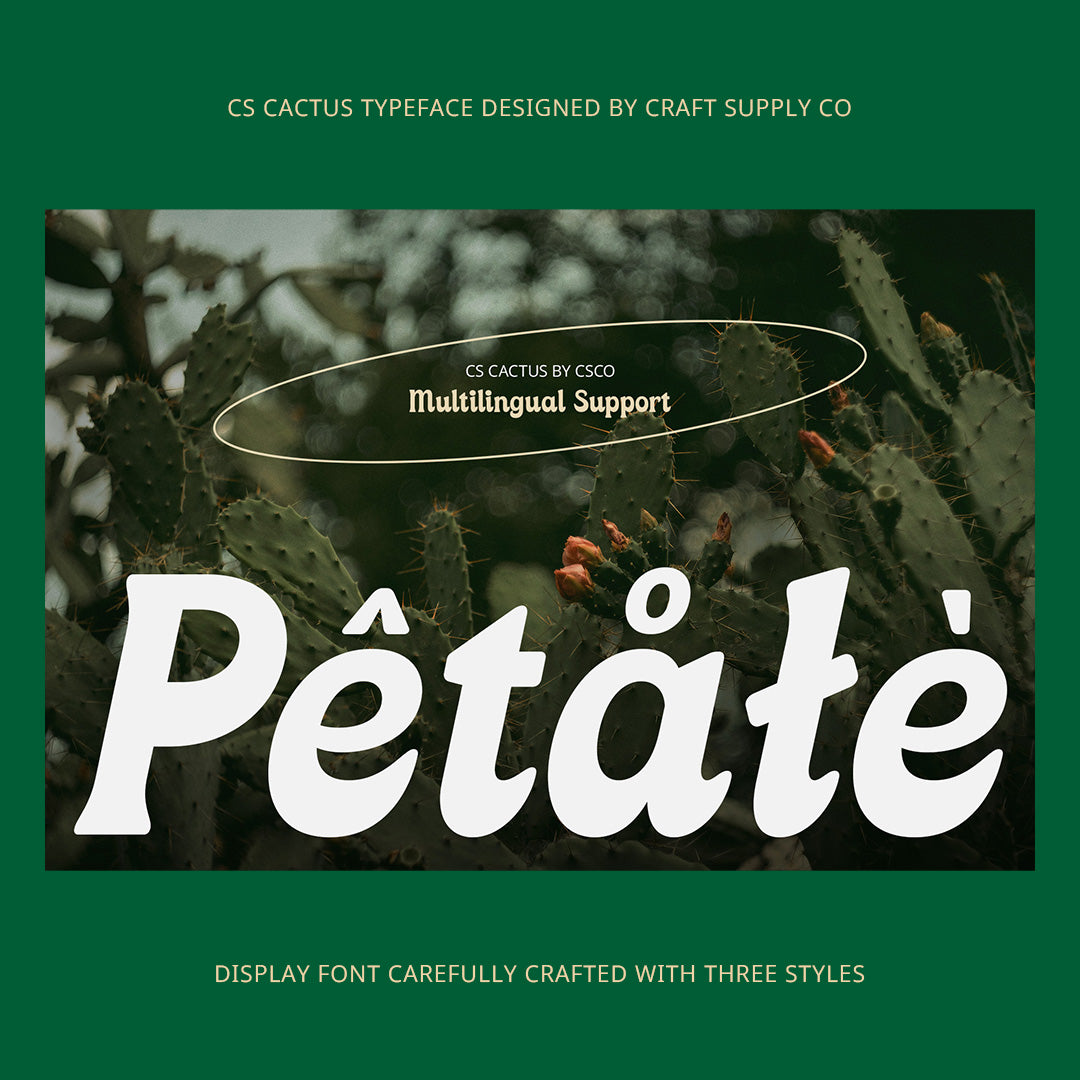 cs-cactus-classic-font-craft-supply-co-7.jpg