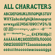 cs-cactus-classic-font-craft-supply-co-8.jpg