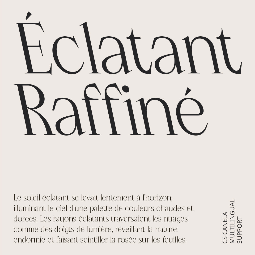 cs-canile-serif-typeface-craft-supply-co-7.jpg