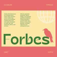 cs-carline-art-nouveau-font-craft-supply-co-3.jpg
