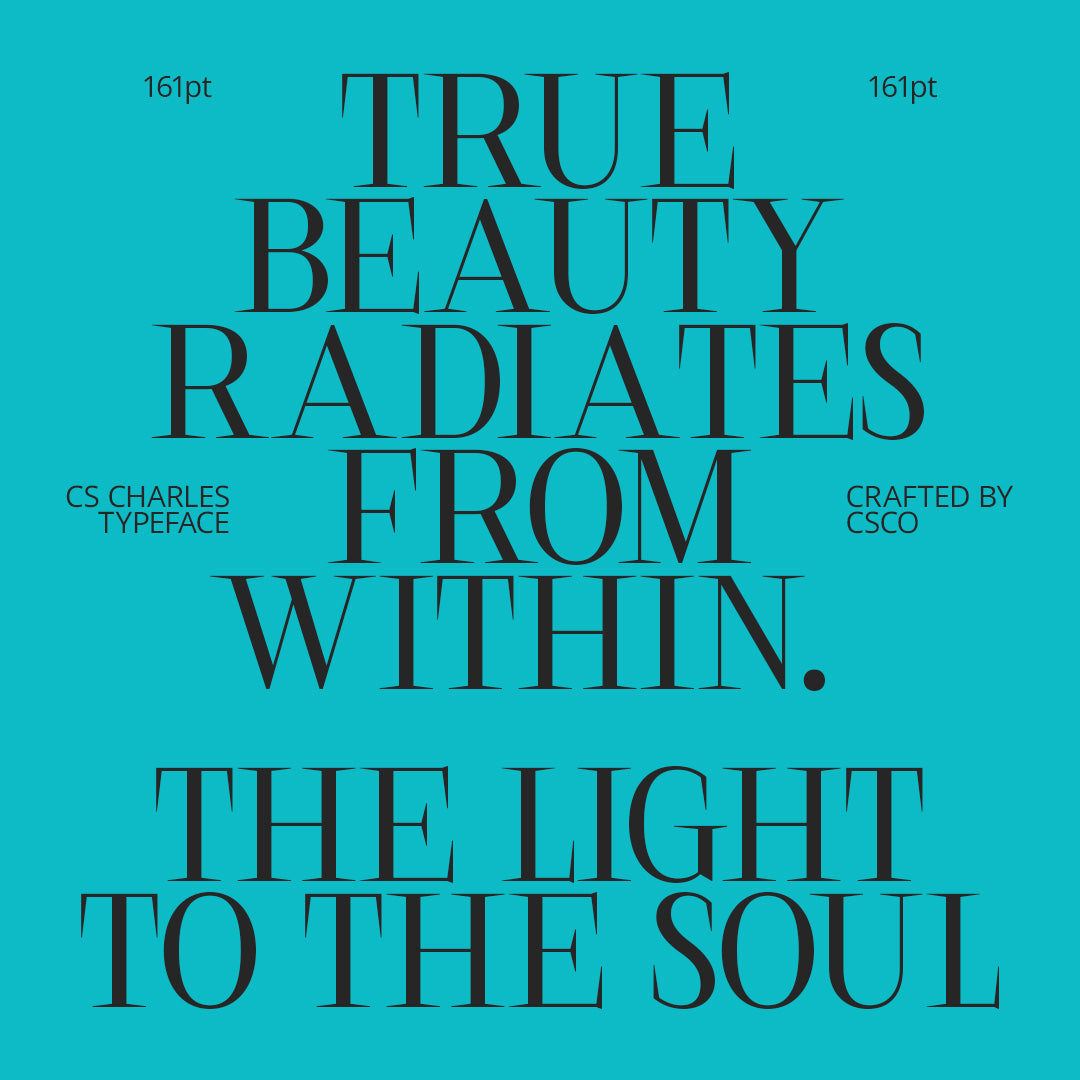 cs-charles-serif-font-craft-supply-co-4.jpg