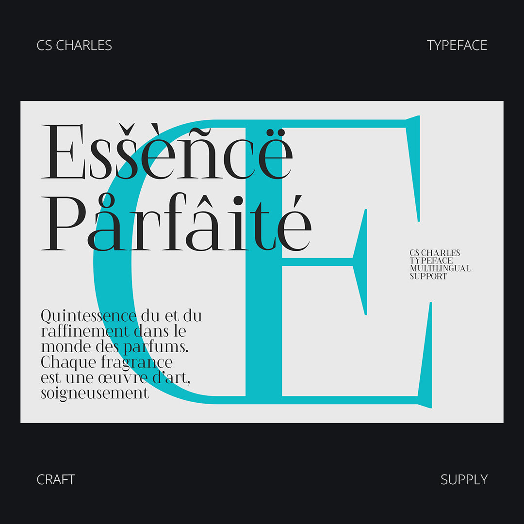 cs-charles-serif-font-craft-supply-co-7.jpg