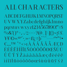cs-charles-serif-font-craft-supply-co-8.jpg
