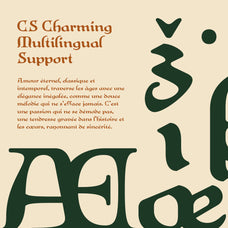 cs-charming-uncial-font-craft-supply-co-7.jpg