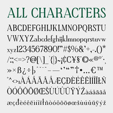 cs-chizue-condensed-font-craft-supply-co-8.jpg