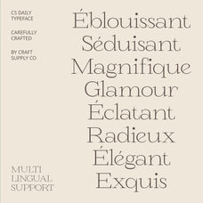 cs-daily-serif-font-craft-supply-co-7.jpg
