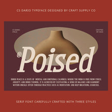 cs-dario-bold-font-craft-supply-co-4.jpg