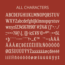 cs-dario-bold-font-craft-supply-co-8.jpg