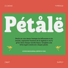 cs-dovie-retro-font-craft-supply-co-7.jpg