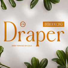 cs-draper-elegant-font-craft-supply-co-1.jpg