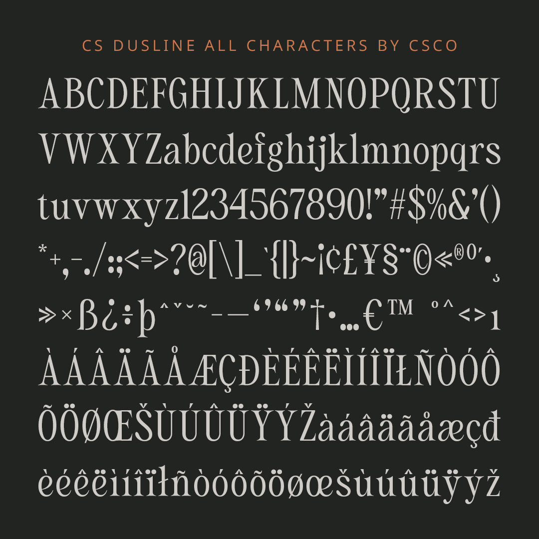 cs-dustine-elegant-font-craft-supply-co-8.jpg