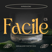 CS Facile – Elegant Font