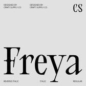 CS Freya – Serif Font