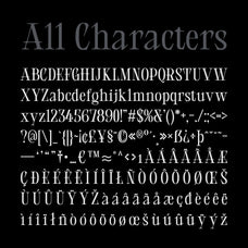 cs-freya-serif-font-craft-supply-co-8.jpg