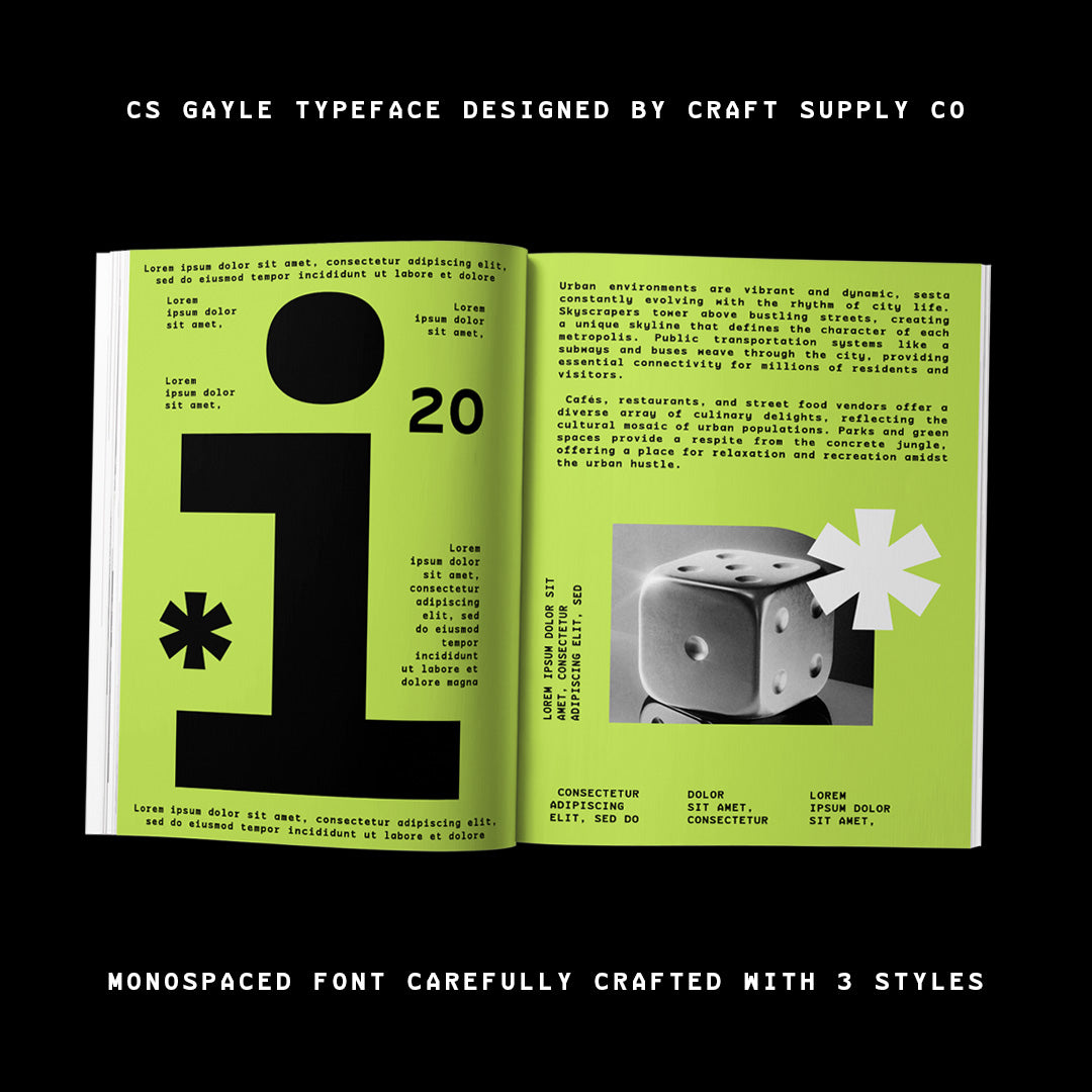 cs-gayle-mono-sans-serif-typeface-craft-supply-co-5.jpg