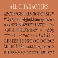 cs-henar-elegant-font-craft-supply-co-8.jpg
