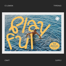 cs-lemon-display-font-craft-supply-co-3.jpg