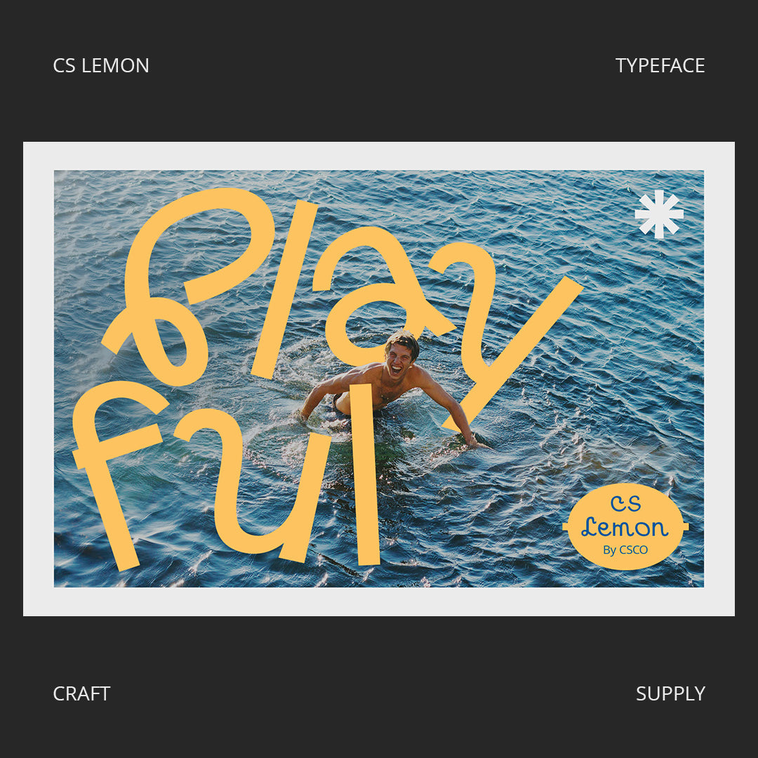 cs-lemon-display-font-craft-supply-co-3.jpg