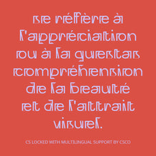 cs-locked-display-font-craft-supply-co-6.jpg