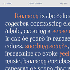 cs-loman-uncial-font-craft-supply-co-5.jpg