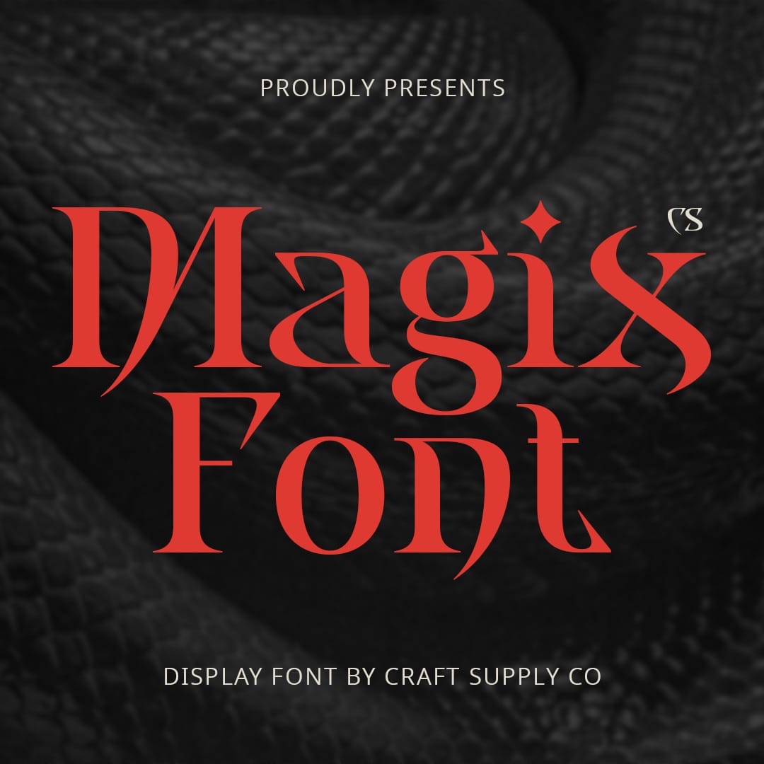 cs-magix-display-serif-font-craft-supply-co-1.jpg
