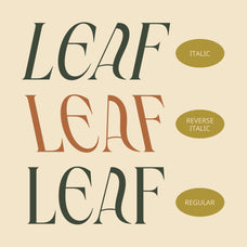 cs-nadine-uncial-font-craft-supply-co-3.jpg