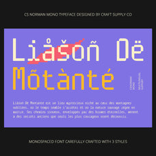 cs-norman-mono-monospaced-font-craft-supply-co-7.jpg