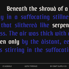 cs-norvile-gothic-font-craft-supply-co-4.jpg