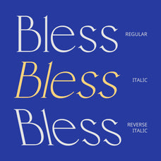 cs-rachel-elegant-font-unknown-creator-4.jpg