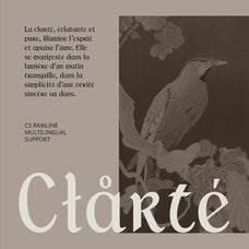 cs-rawline-uncial-font-craft-supply-co-7.jpg