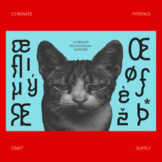 cs-renate-trippy-font-unknown-creator-7.jpg