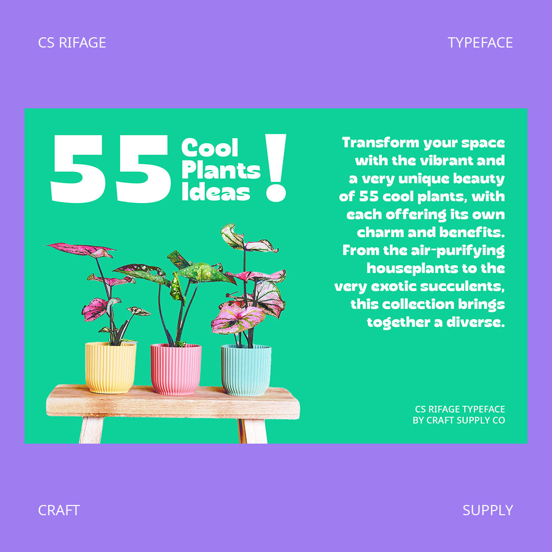 cs-rifage-bold-font-craft-supply-co-2.jpg