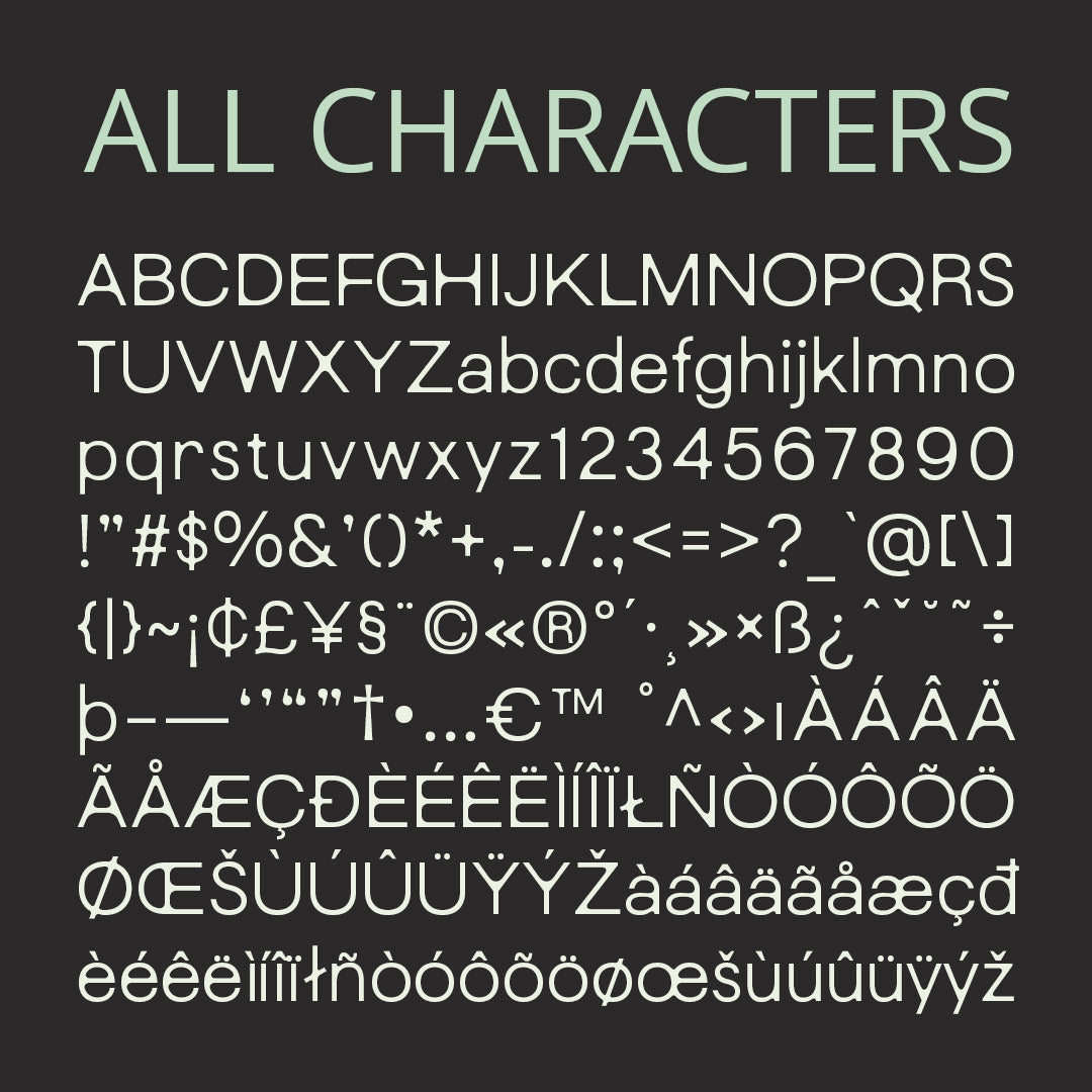 cs-rodney-sans-serif-typeface-craft-supply-co-8.jpg