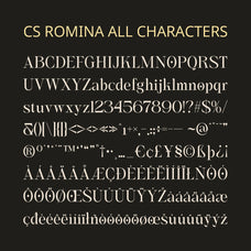 cs-romina-elegant-font-craft-supply-co-8.jpg