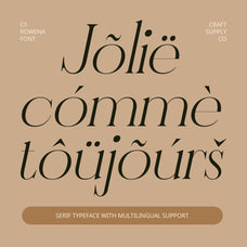 cs-rowena-serif-font-craft-supply-co-7.jpg