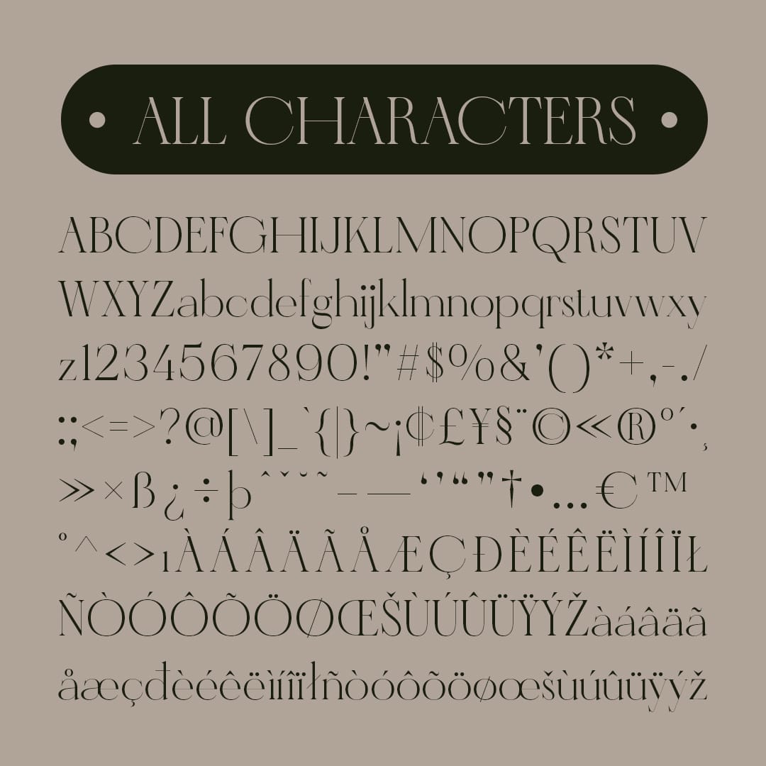 cs-rowena-serif-font-craft-supply-co-8.jpg