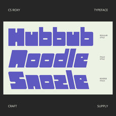 cs-roxy-bold-font-craft-supply-co-2.jpg