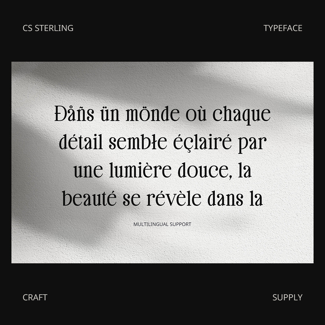 CS Sterling – Classic Font by Craft Supply Co, preview 5