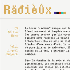 cs-strive-mono-monospaced-font-craft-supply-co-7.jpg