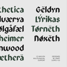 cs-waylen-blackletter-font-unknown-creator-4.jpg